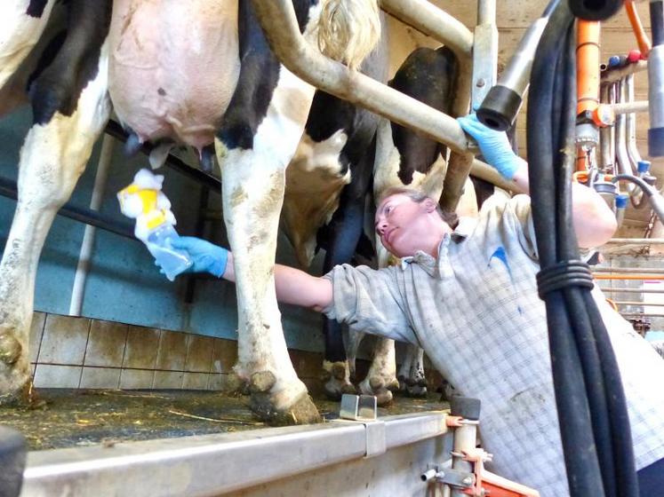 Avoir une vision à moyen terme de son exploitation, faire des choses que l’on aime, avec des personnes avec qui
on s’entend bien, le tout dans une organisation bien définie : telle serait la recette du bonheur en élevage laitier ?