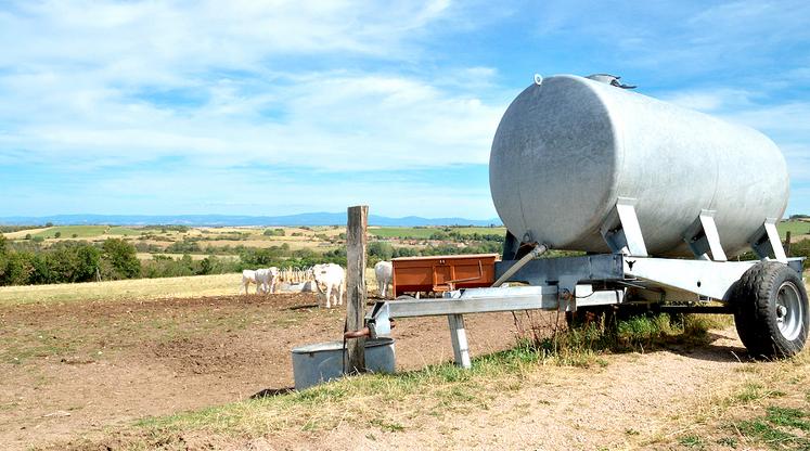 Selon la race, une vache boit entre 40 et 120 l d’eau par jour. Un volume qui peut doubler sous de très fortes chaleurs.