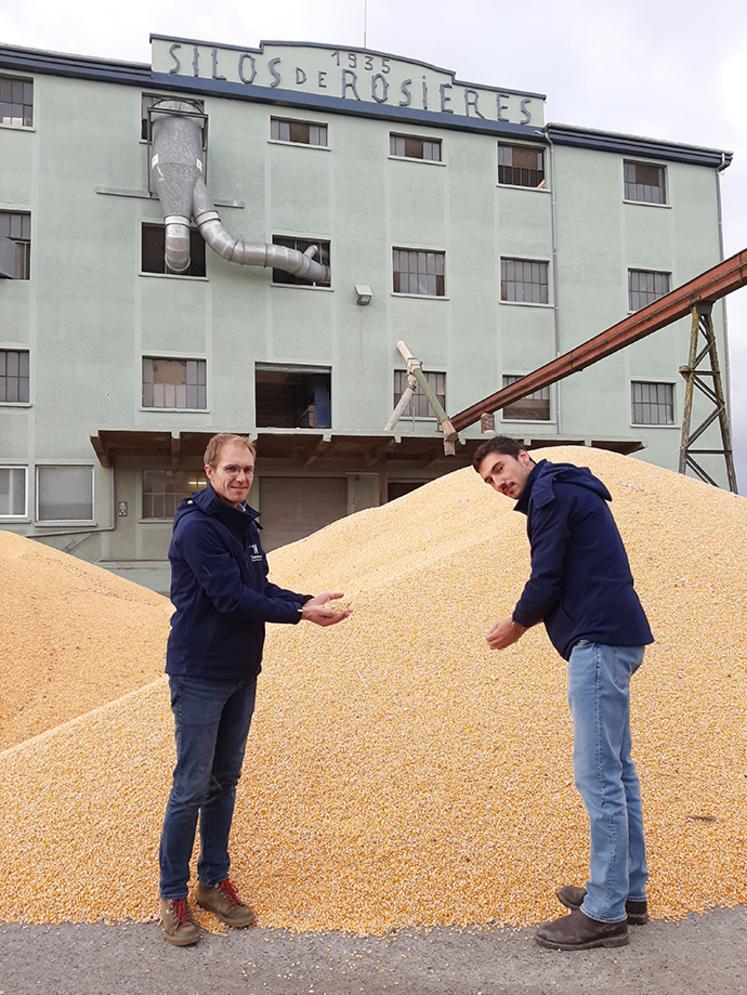 Jean-François Florin, directeur de Sana Terra et Louis Durlin,  responsable d’exploitation, devant le maïs grain fraîchement récolté. 