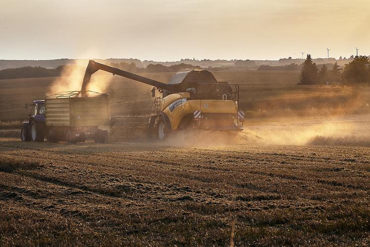 L’Ukraine pourrait exporter 54 Mt de céréales en 2023-2024. 