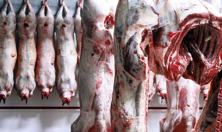 abattoir