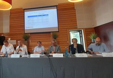 L’assemblée générale de la coopérative Cobevial a réuni environ 150 participants le 28 juin dernier à Ramecourt (62). 