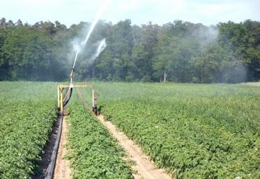 Avant de donner son aval ou non à la création de retenues artificielles d’eau, l’Agence de l’eau Artois Picardie aimerait travailler le sujet de ses différentes utilisations et les moyens de les réduire.