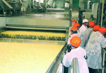 La production des usines françaises stagne alors la consommation de pommes de terre transformées augmente.