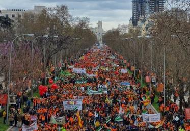 Madrid manifestation