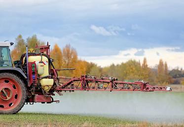 Selon l’Efsa, le glyphosate ne présente pas de risques suffisants pour en interdire l’utilisation dans l’UE. 
