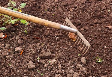 glyphosate bayer
