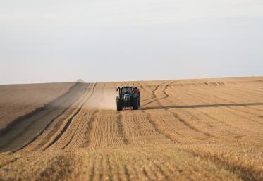 récolte mondiale céréales
