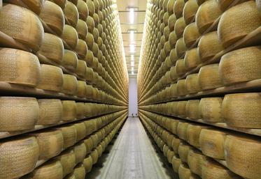 fromages meules