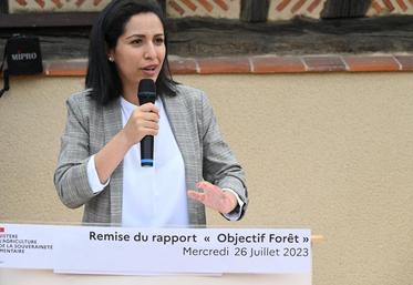 Sarah El Haïry
