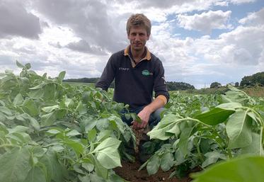 En plus de son puits, Mathieu Mascré bénéficie de 17 000 m3 d’eau pour irriguer ses cultures, directement amenée de la sucrerie via un réseau sous-terrain. 